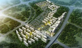 版纳桃李春风最新爆料,揭秘神秘爆料背后的精彩故事