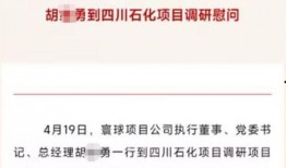 石油高管爆料视频最新,行业内幕与未来展望
