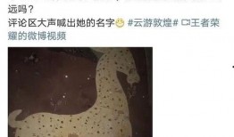 瑶妹儿最新皮肤爆料视频,神秘元素引期待！