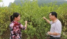 竹山农香最新爆料