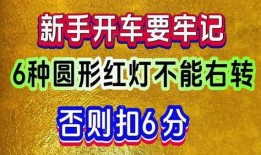 今日独家最新爆料图片,今日最新爆料图片背后的惊人真相
