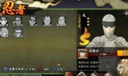 最新忍法帖忍者技能爆料,揭秘最新忍者技能，神秘力量即将揭晓！