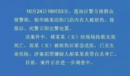 保定最新爆料事件新闻,事件真相逐步浮出水面