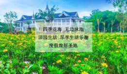 版纳桃李春风最新爆料,揭秘神秘爆料背后的精彩故事