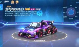 最新赛车爆料,最新爆料揭秘顶级赛事幕后秘辛