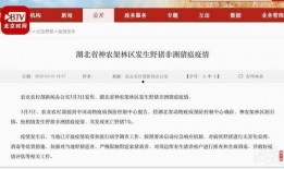 湖北最新爆料消息新闻,揭秘神秘事件背后的真相