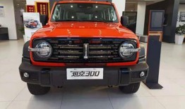 魏派坦克500最新爆料