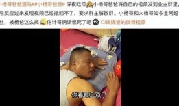 杨爸爆料视频大全最新一期,揭秘娱乐圈幕后真相
