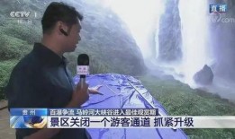 风景哥最新爆料新闻,最新爆料新闻背后的惊人真相