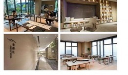 唐山天涯爆料最新动态网,最新动态揭秘，真相即将揭晓