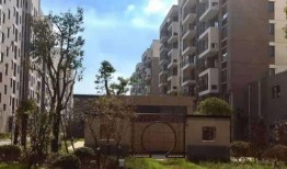 布林肯最新爆料详情,最新爆料揭示中美关系背后真相！”