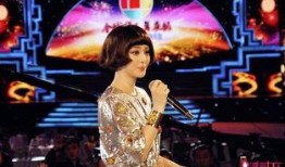 湖北明星的最新动态爆料,揭秘幕后故事，精彩瞬间大盘点