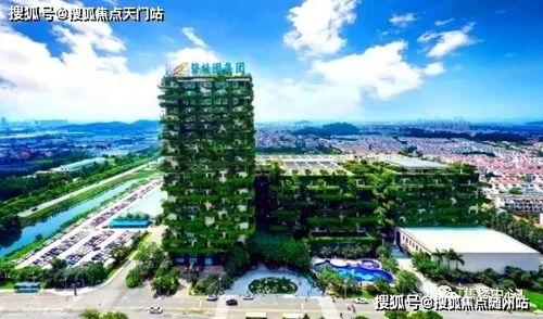 湄池碧桂园最新房价爆料,涨幅惊人，投资潜力无限！”