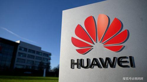 大连华为最新爆料,揭秘未来科技前沿与创新突破