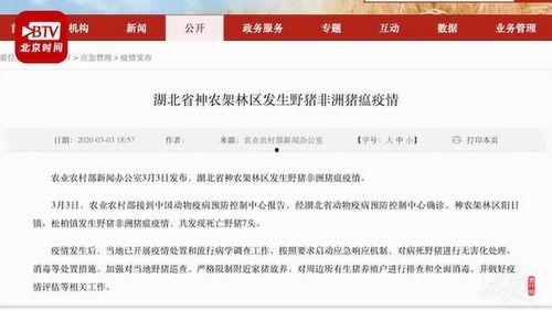 湖北最新爆料消息新闻,揭秘神秘事件背后的真相