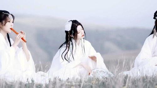 最新爆料古风歌曲大全,最新爆料古风歌曲大全盘点