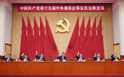 成武五中爆料事件视频最新,真相揭开，校园风波再起